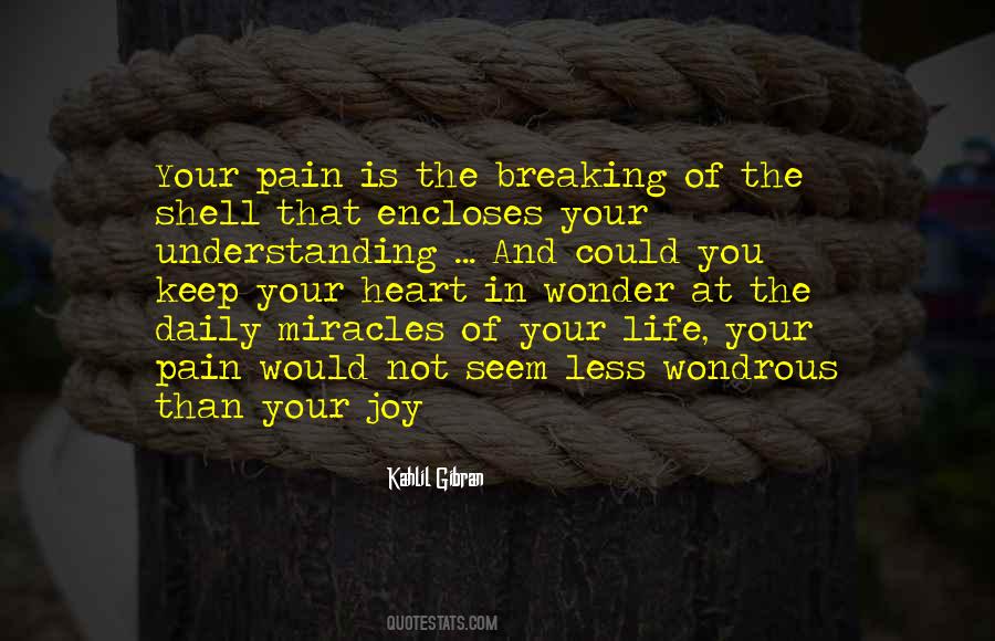 Understanding The Pain Quotes #1568721