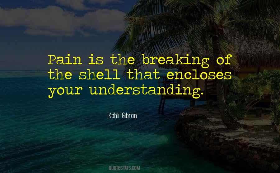 Understanding The Pain Quotes #740593