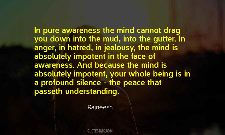 Understanding The Silence Quotes #1543921
