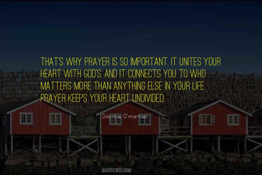 Undivided Life Quotes #1526731