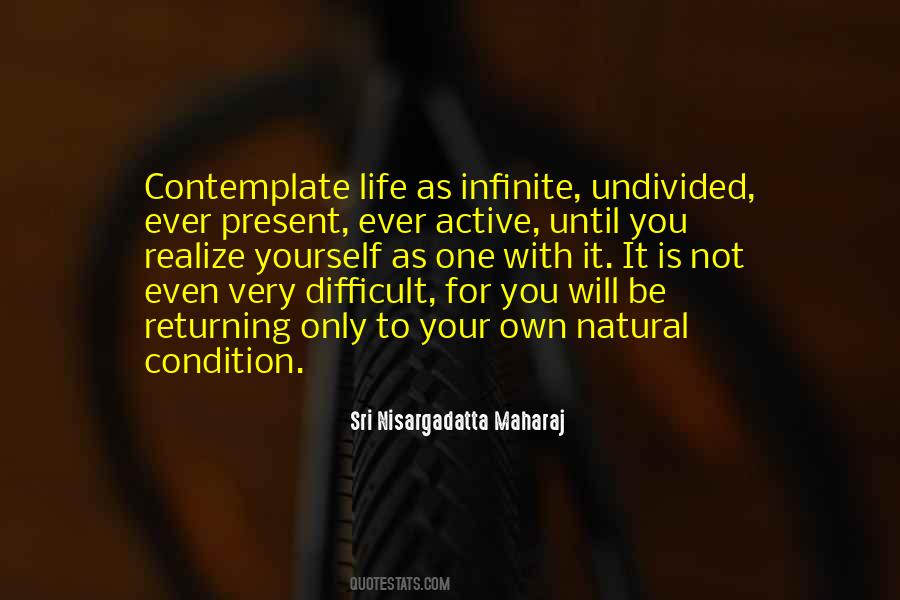 Undivided Life Quotes #906417