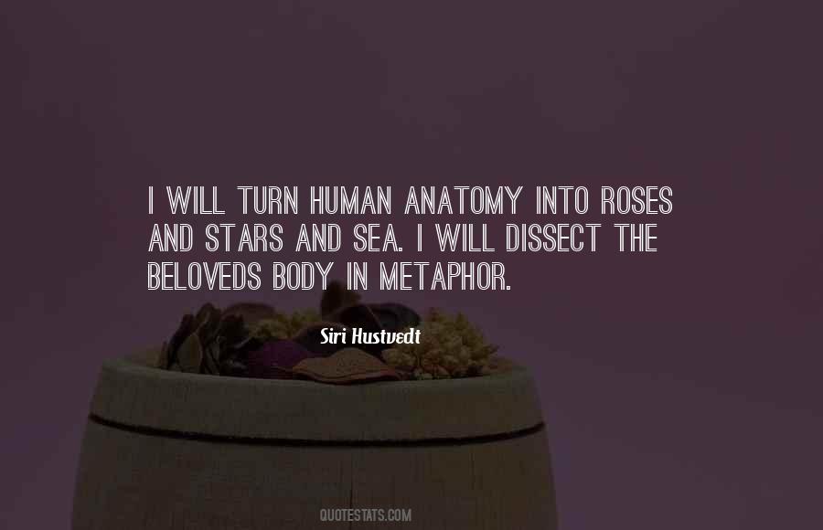 Quotes About Love And Roses #509899 Quotes About Love And Roses #509899