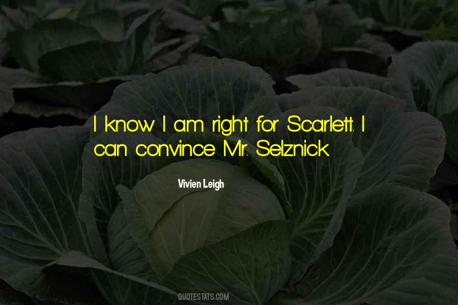 United Nations Security Council Quotes #1387669