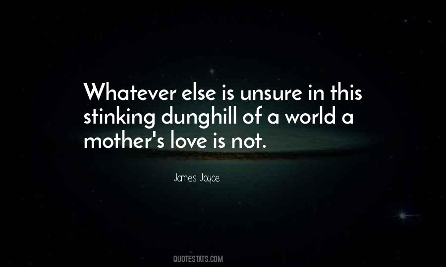 United Nations Security Council Quotes #734066