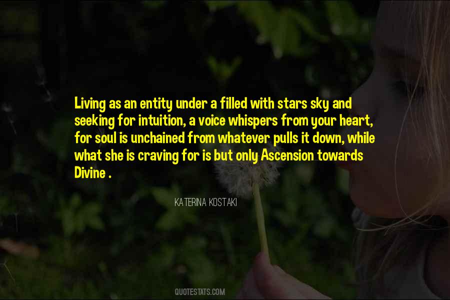 Universal Soul Quotes #139551