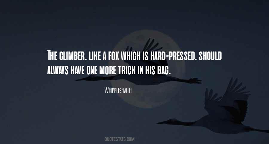 Quotes About Climber #1677406