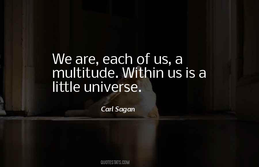 Universe Within Us Quotes #1343832