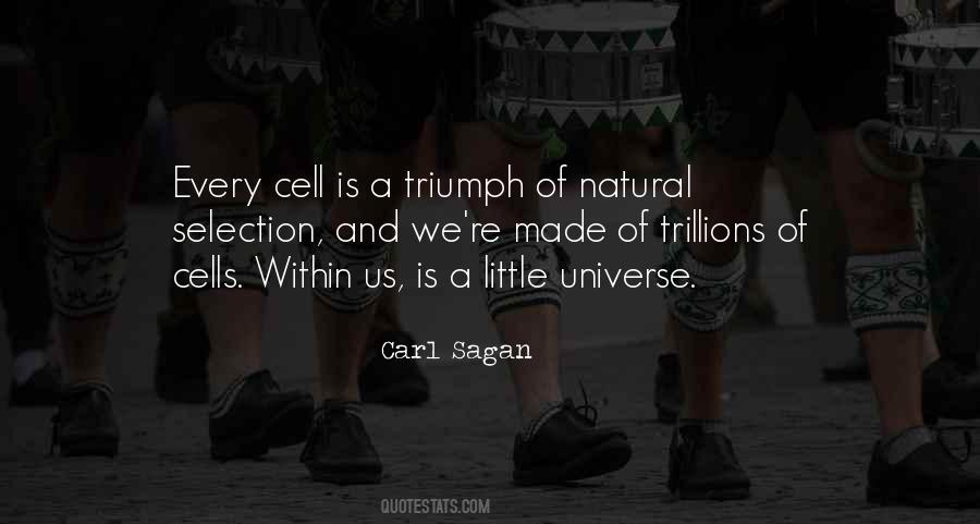 Universe Within Us Quotes #649158