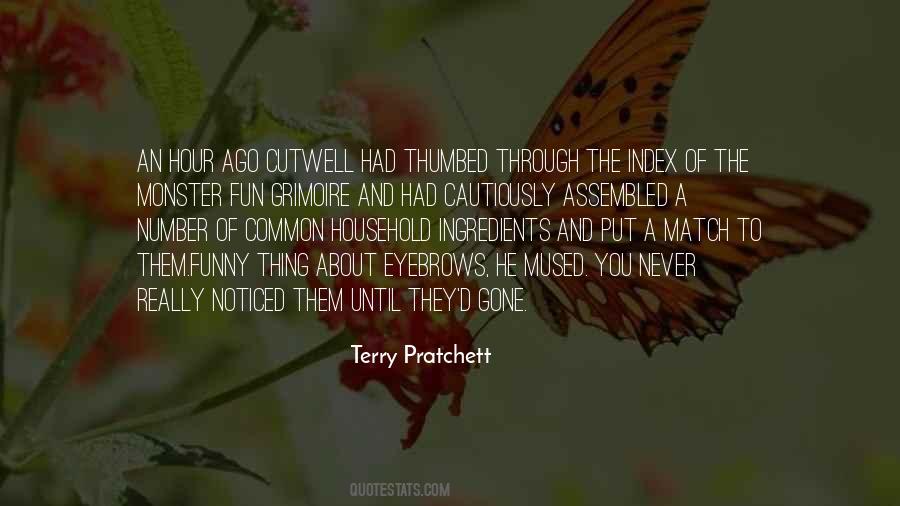 Until They're Gone Quotes #1233693