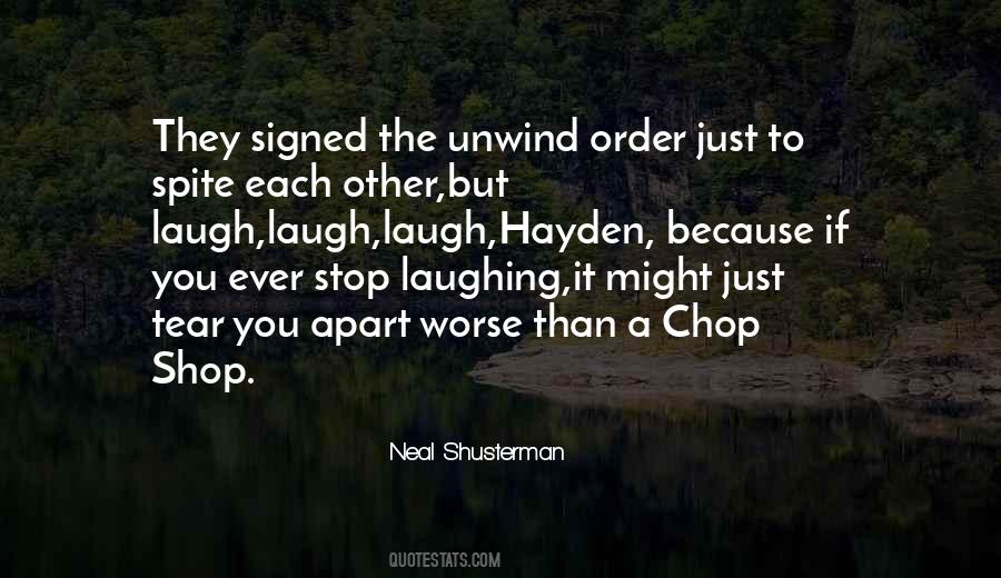 Unwind Hayden Quotes #1027015