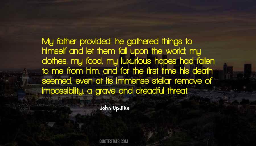 Updike Quotes #245386