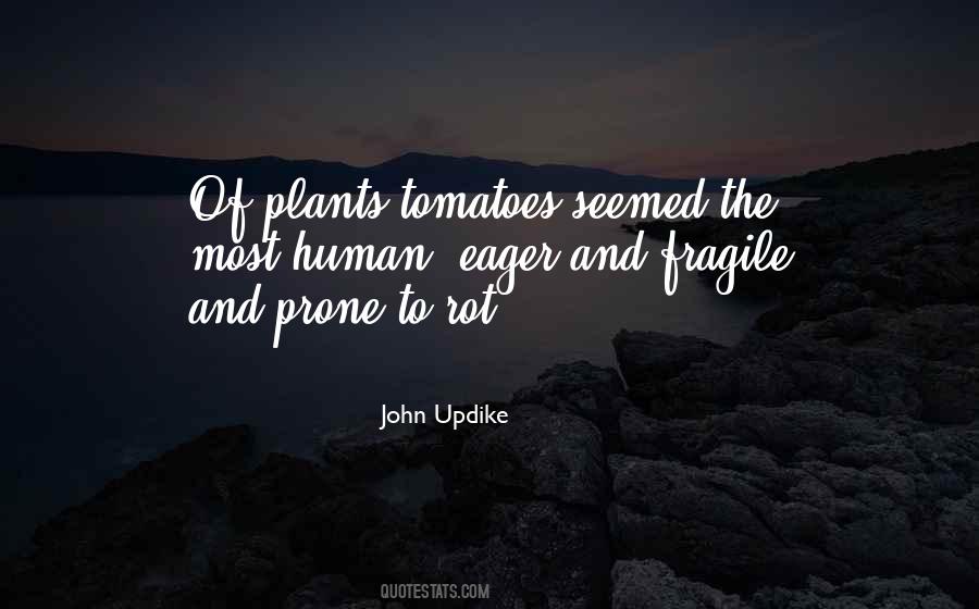 Updike Quotes #59505