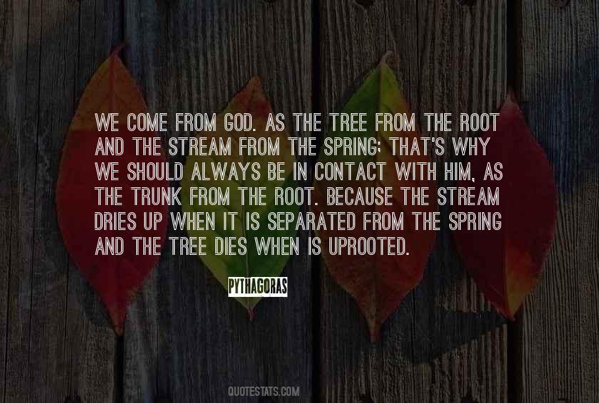 Uprooted Quotes #1164365