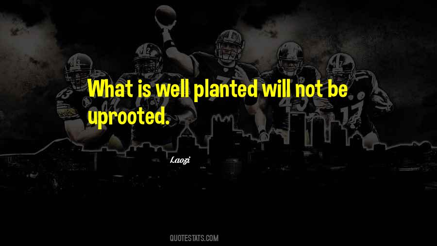 Uprooted Quotes #1554396