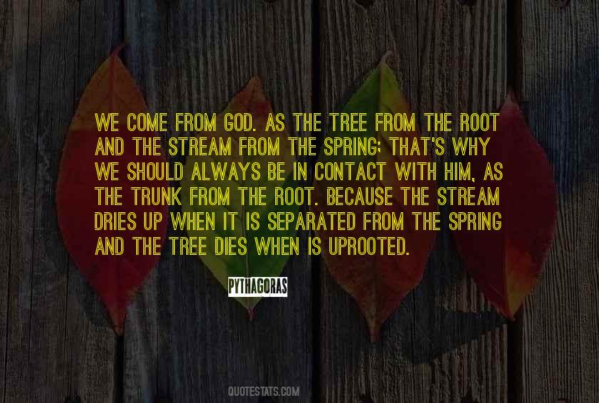 Uprooted Tree Quotes #1164365