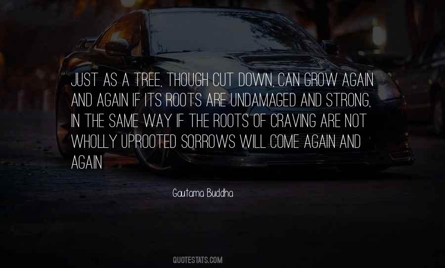 Uprooted Tree Quotes #1475486