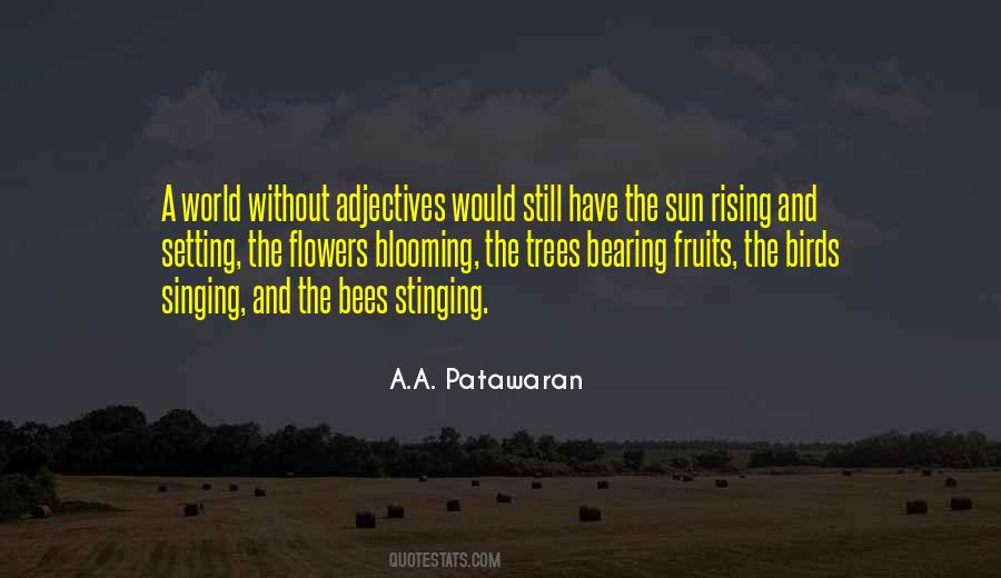 Quotes About Setting Sun #751604