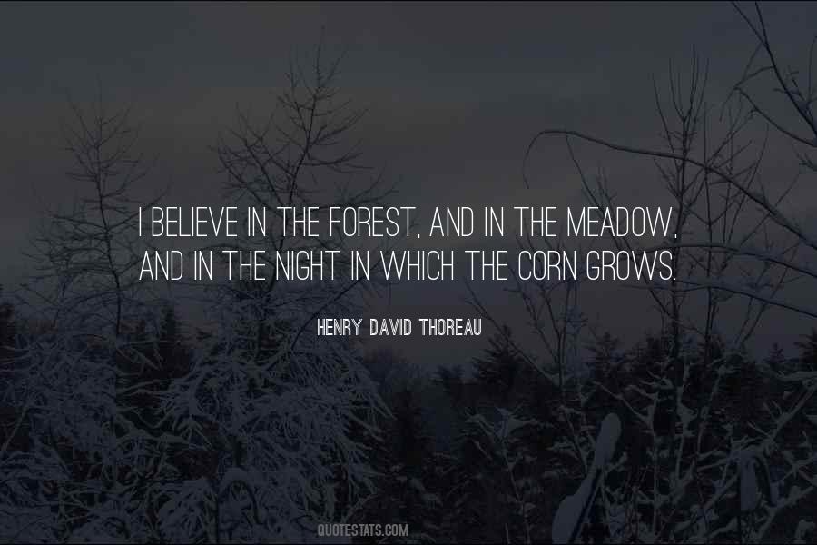 Quotes About The Forest At Night #997935