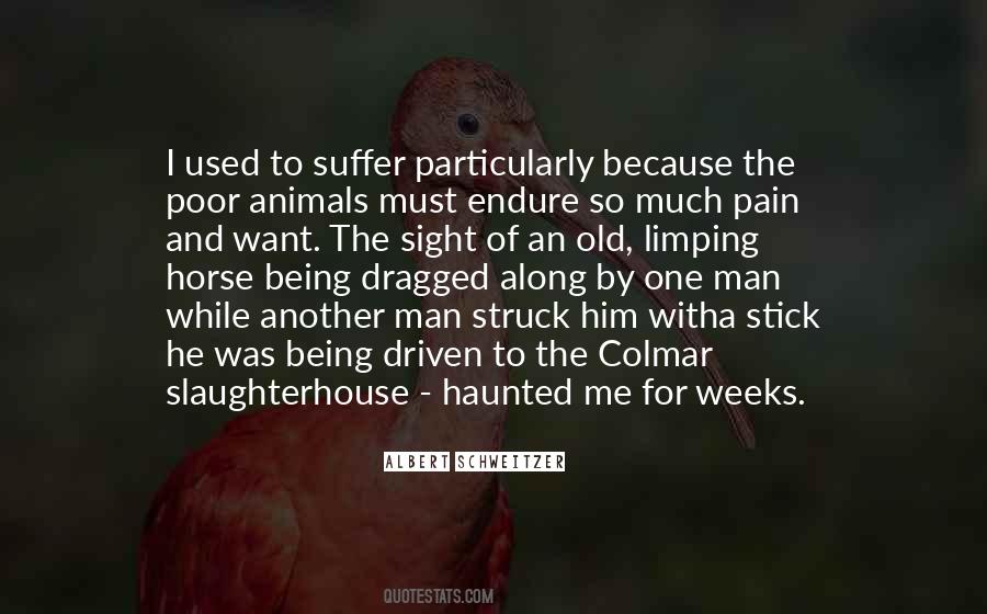 Used To Pain Quotes #283601