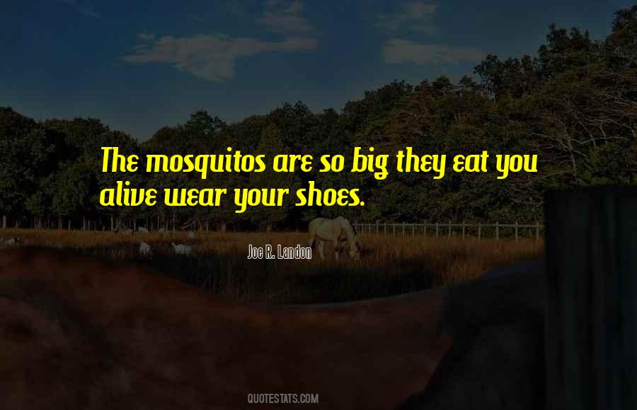 Quotes About Your Shoes #1531944