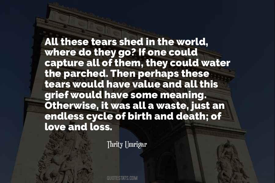 Value Of Tears Quotes #1034749