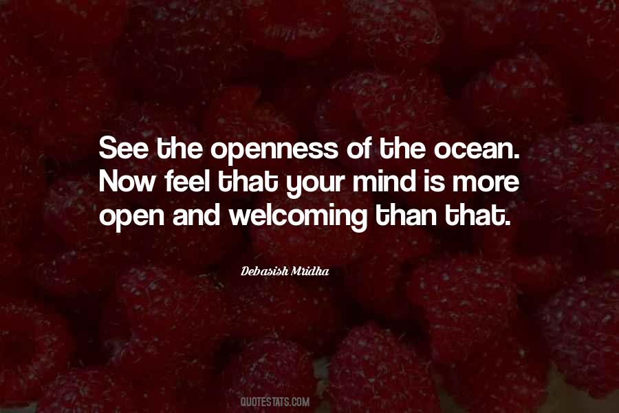Quotes About Openness #1321494