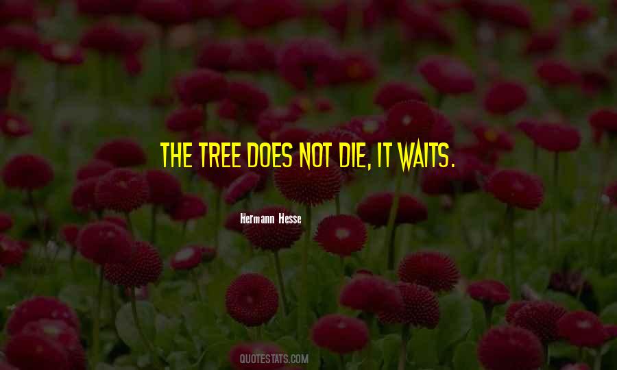 Varkala Quotes #1088488