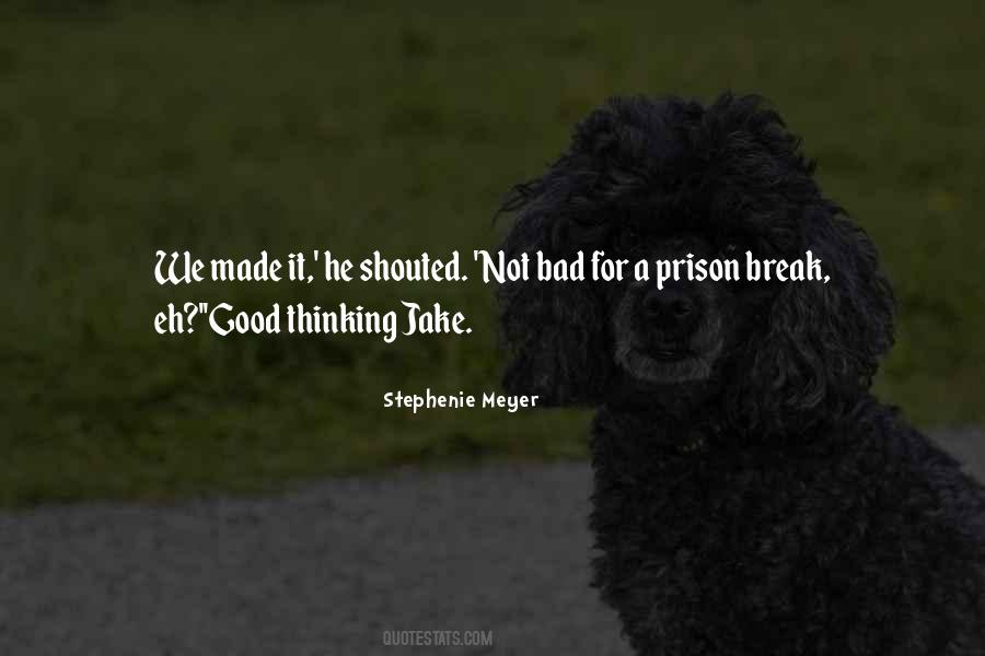 Quotes About Prison Break #885629