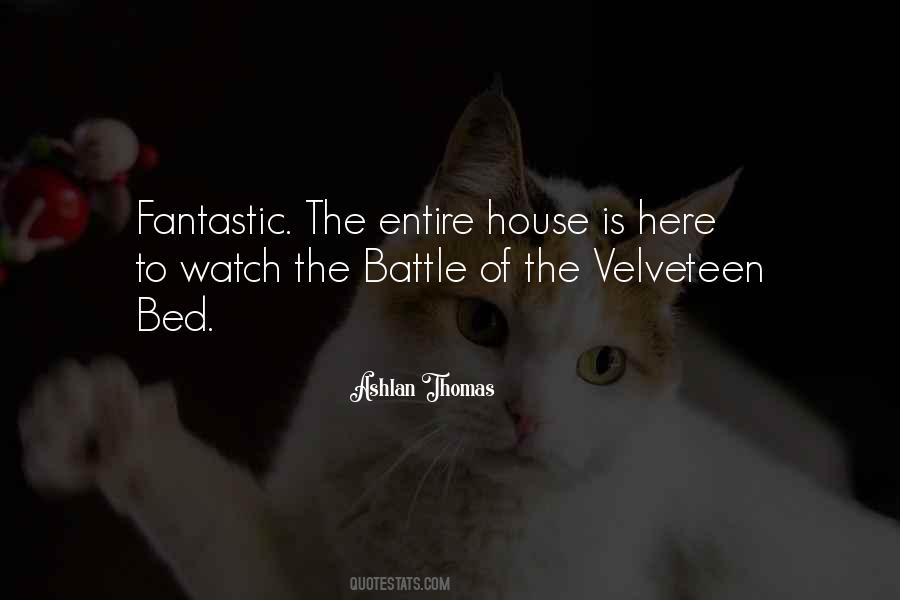 Velveteen Quotes #1075883