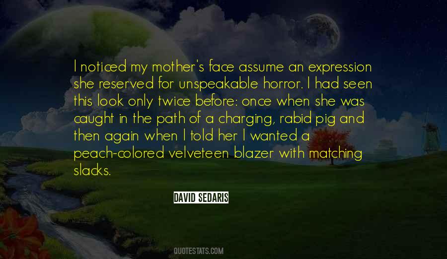 Velveteen Quotes #332142