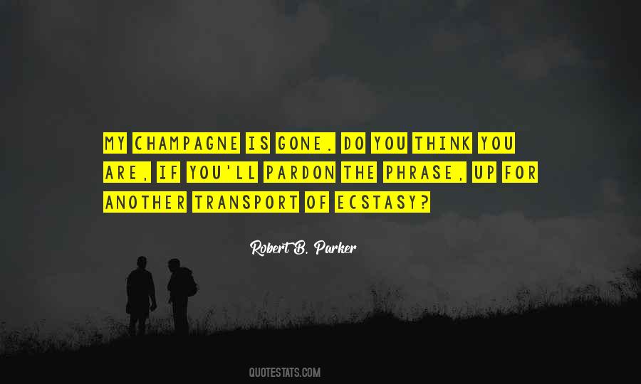 Vexes Quotes #1443754
