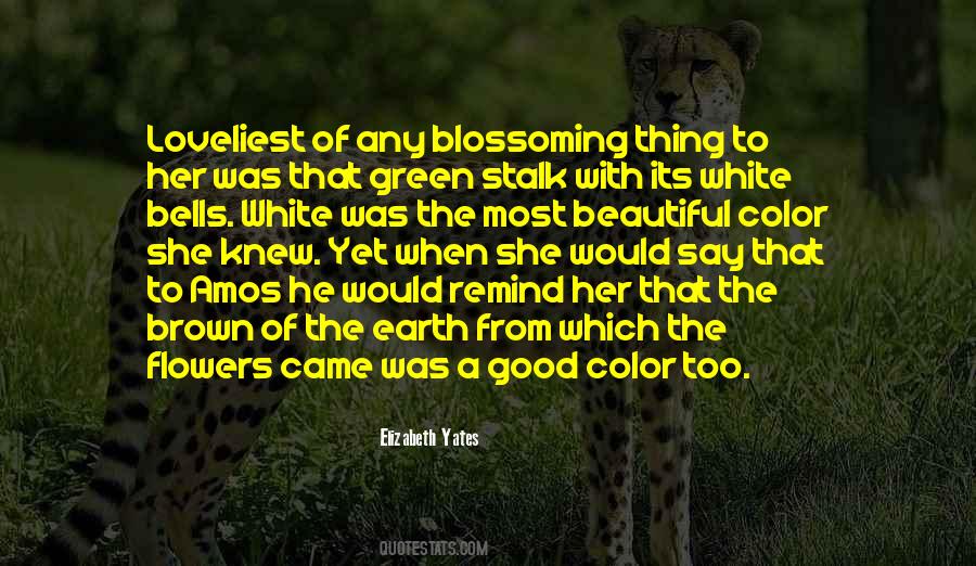 Quotes About Colors Of Flowers #1709715