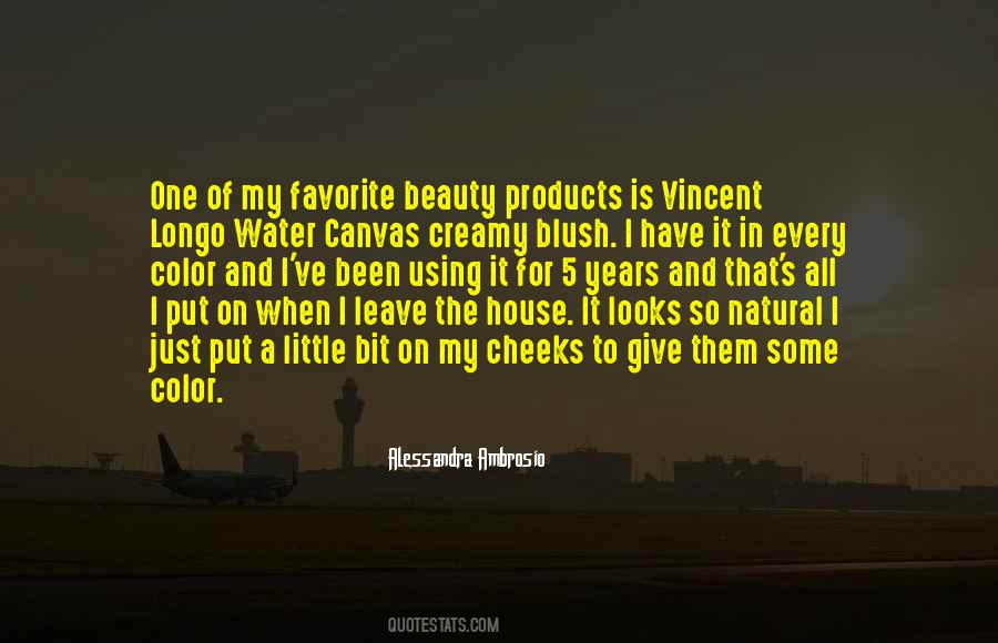 Vincent Quotes #1546145