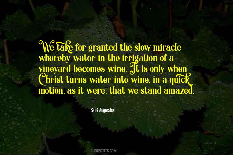 Vineyard Quotes #1552800