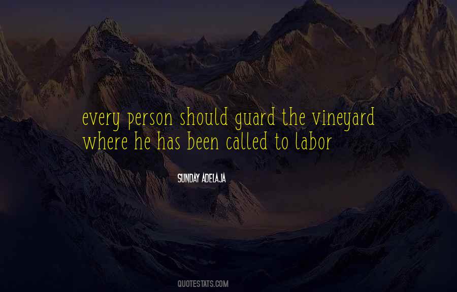 Vineyard Quotes #35704