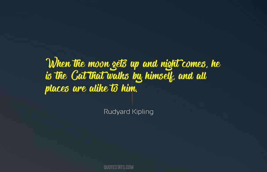 Quotes About Night Walks #1392064