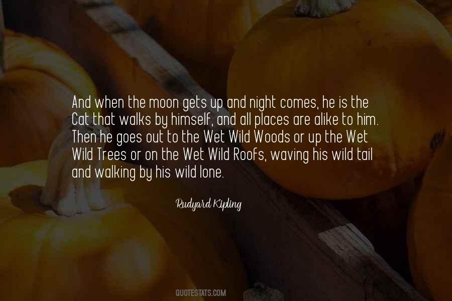 Quotes About Night Walks #898799