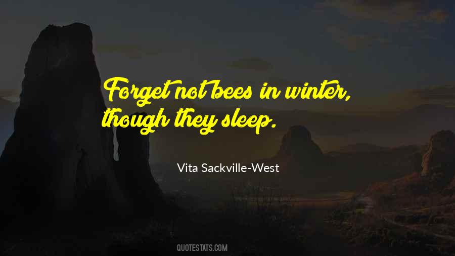 Vita Sackville Quotes #1151030