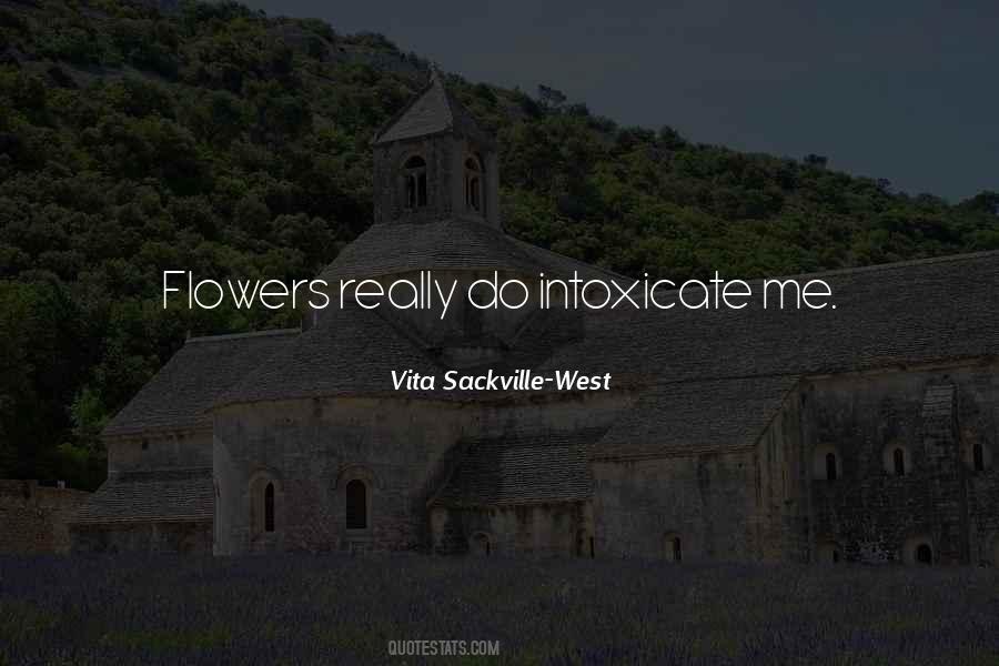 Vita Sackville Quotes #558417