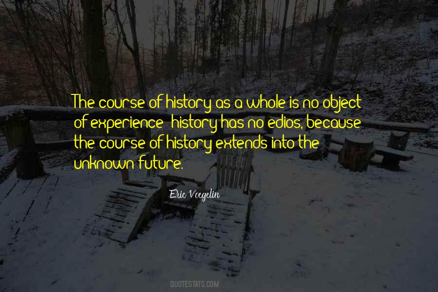 Voegelin Quotes #477593