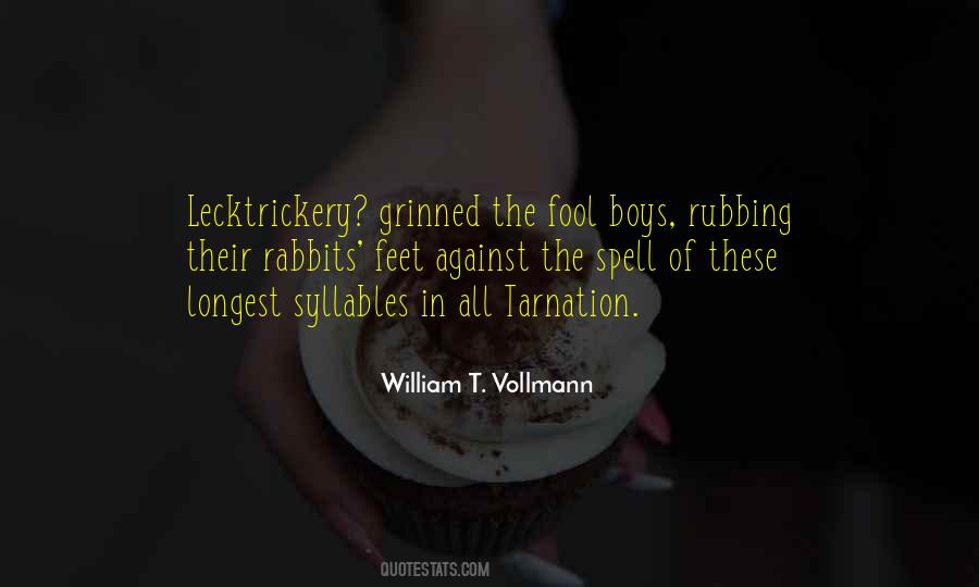 Vollmann Quotes #944262