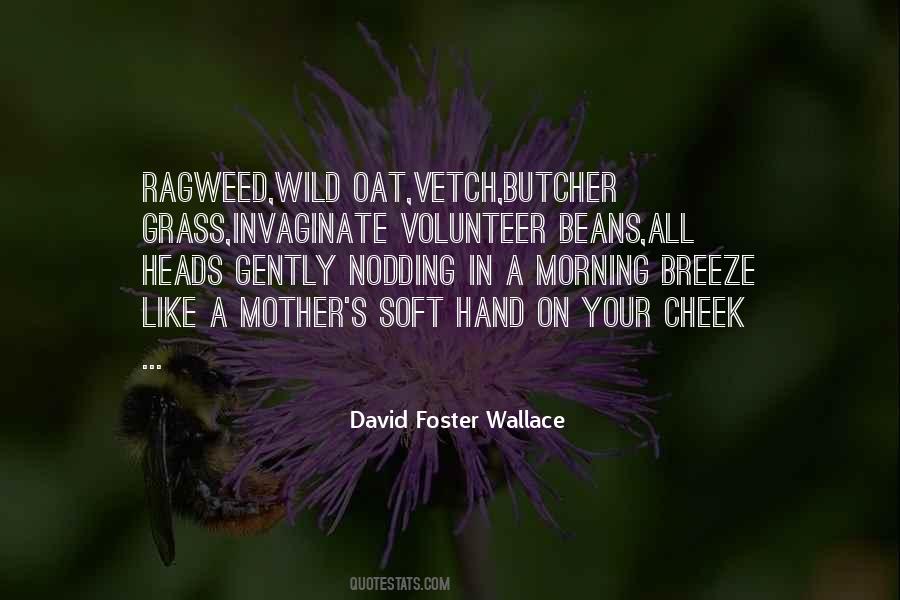 Volunteer Quotes #546 Volunteer Quotes #546