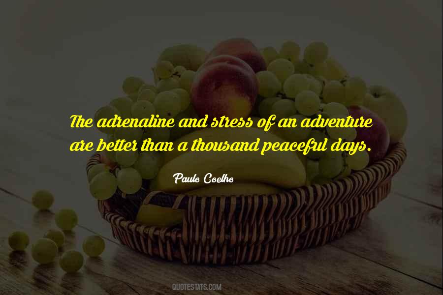 Wade Kinsella Quotes #1171904