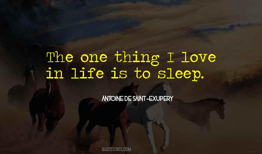 Quotes About Love In Life #998351