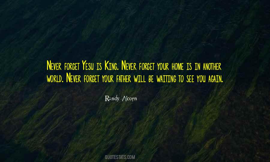 Waiting To See You Again Quotes #425194