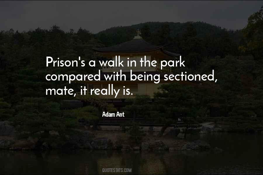 Walk In The Park Quotes #558651