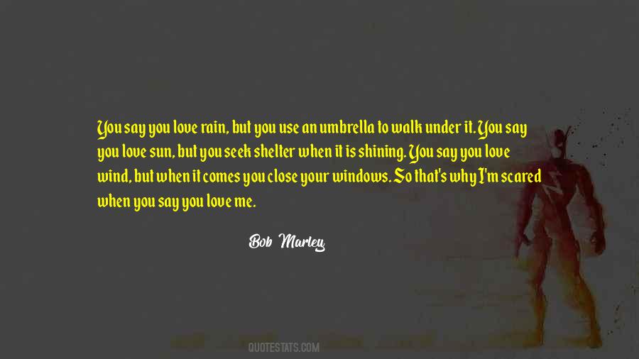 Walk In The Rain Quotes #309137