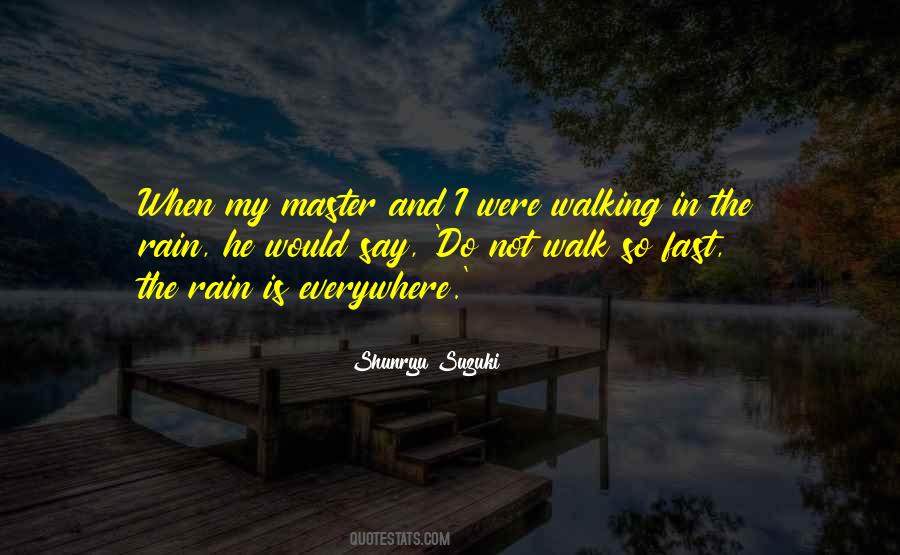 Walk In The Rain Quotes #455477