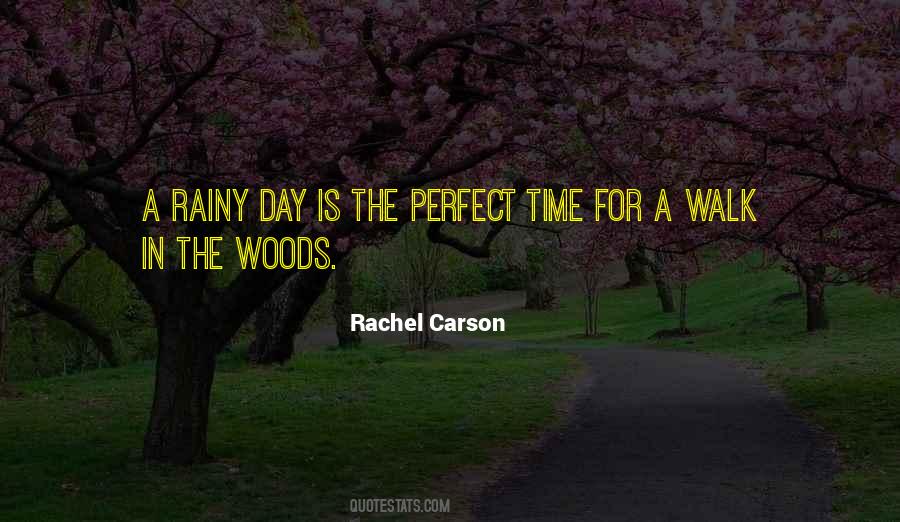 Walk In The Rain Quotes #683439