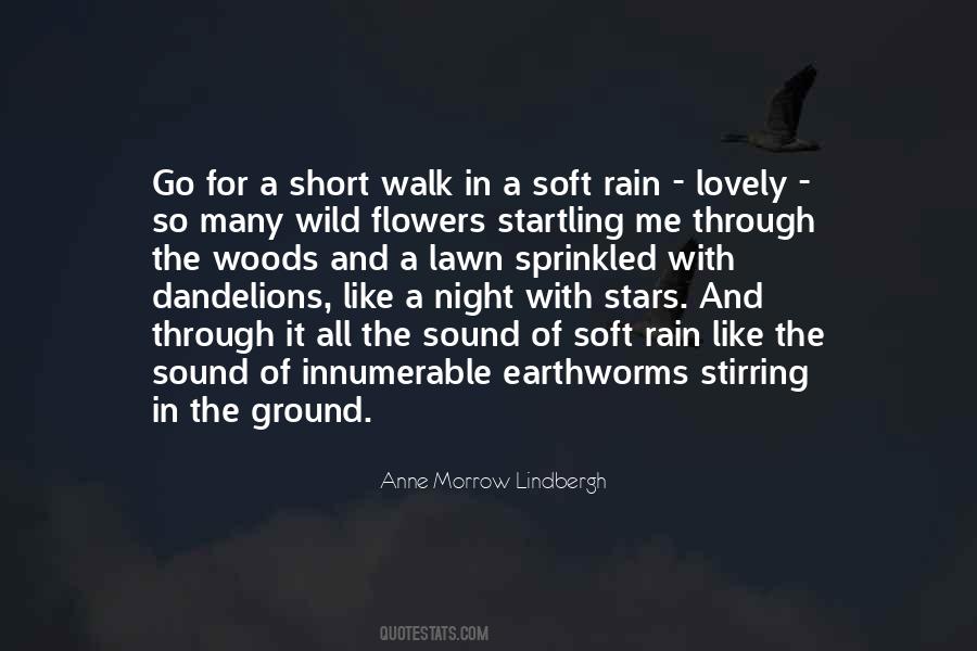 Walk In The Rain Quotes #80440